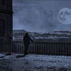 in the moonlight