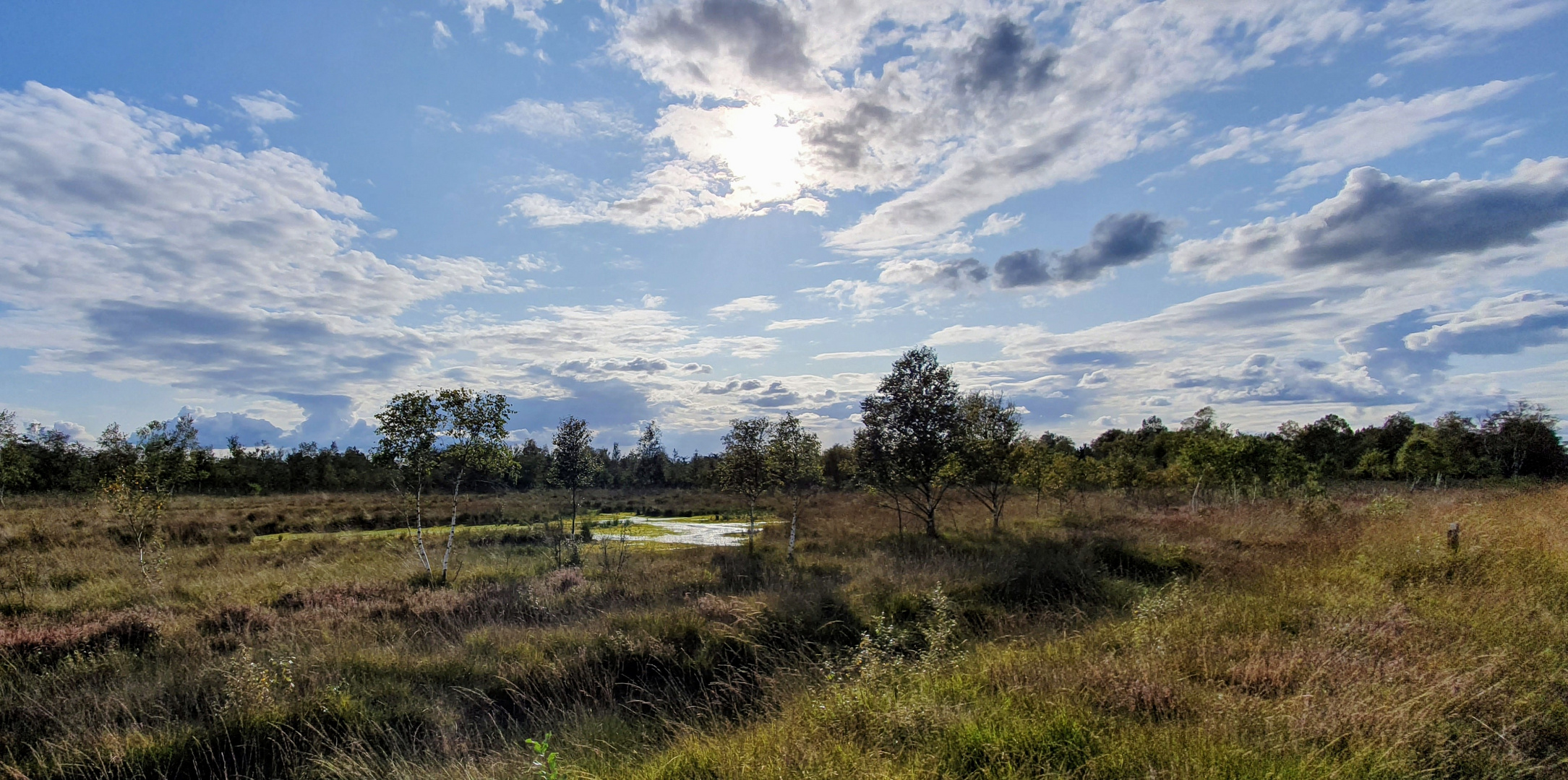 In the moors