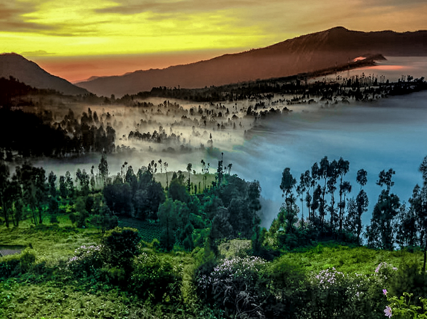 In the morning at the peak of Ngaduman