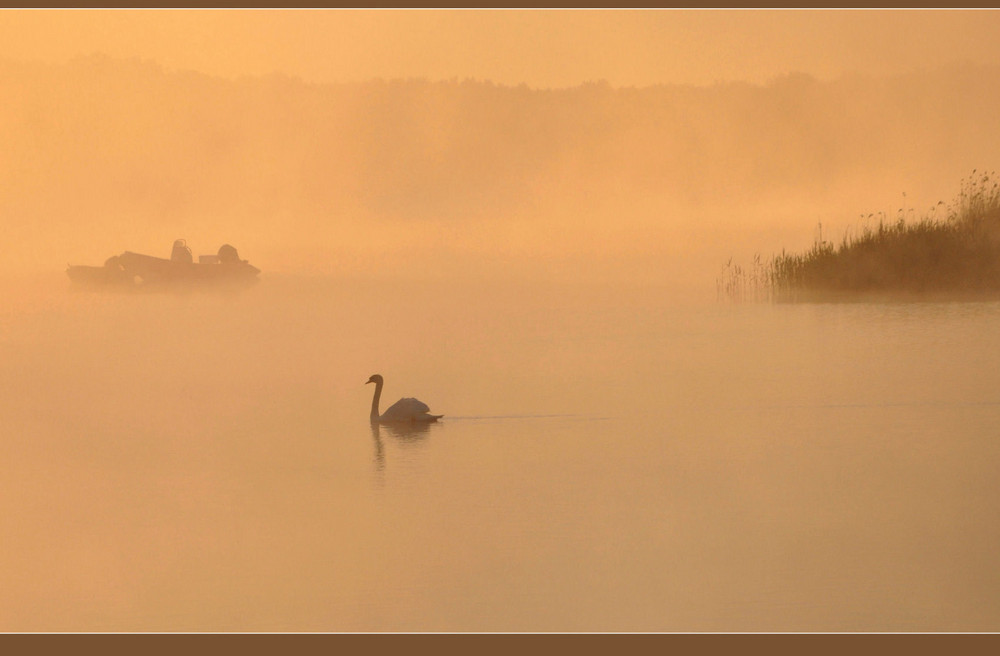 # in the morning fog....