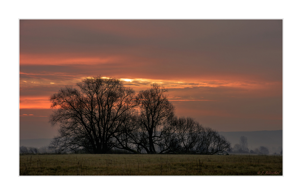 In The Morning Light