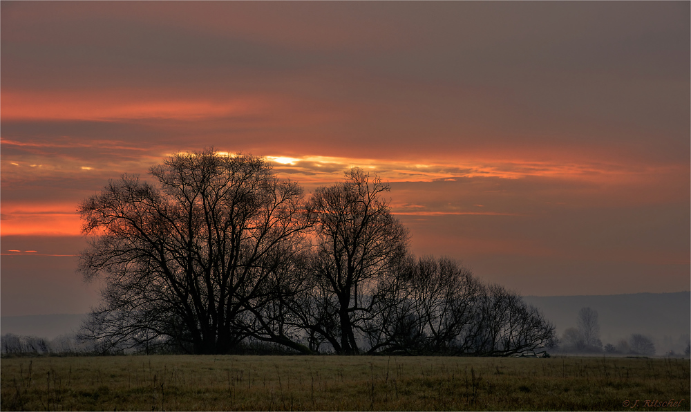 In The Morning Light II