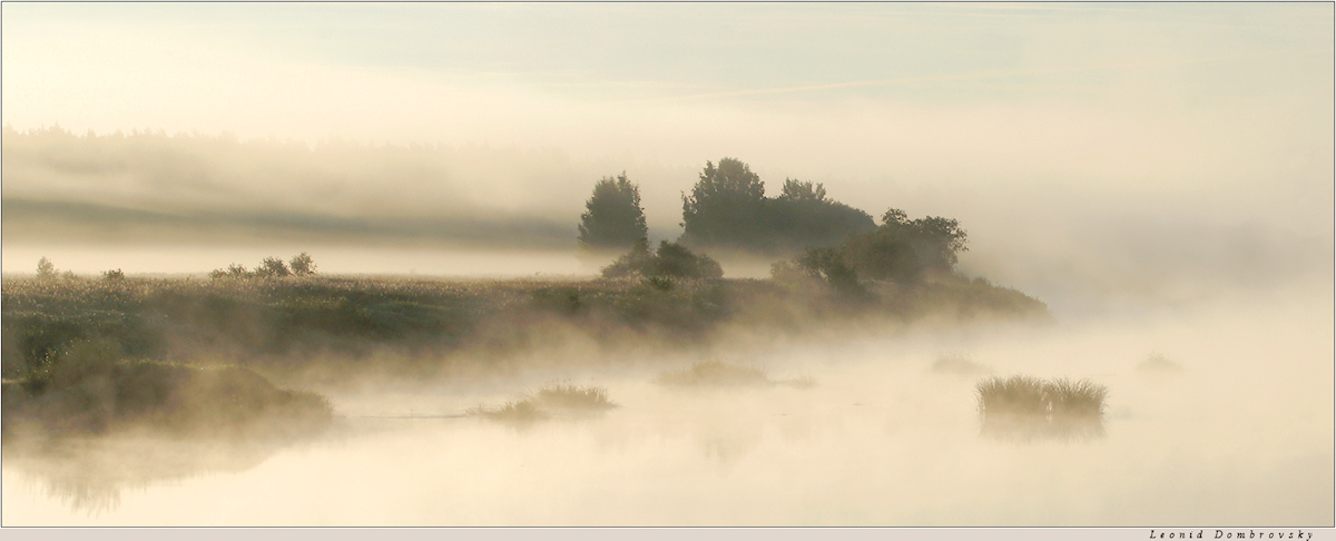 In the morning mist