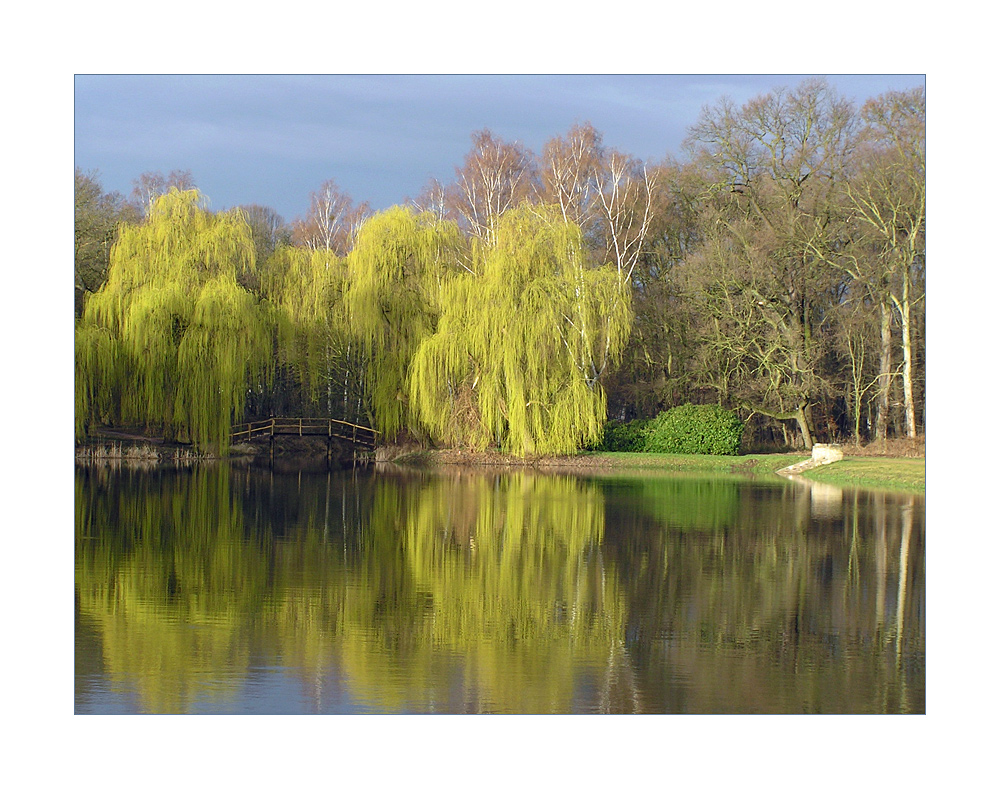 In The Morning Sun     -         In der Morgensonne