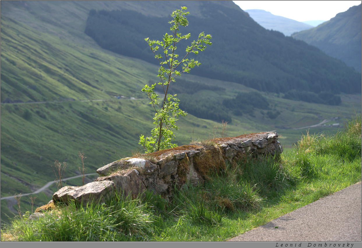 In the mountains of Highland