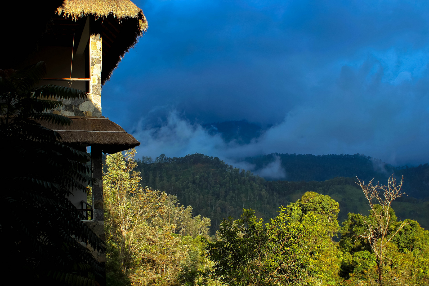 ..in the mountains of Sri Lanka..