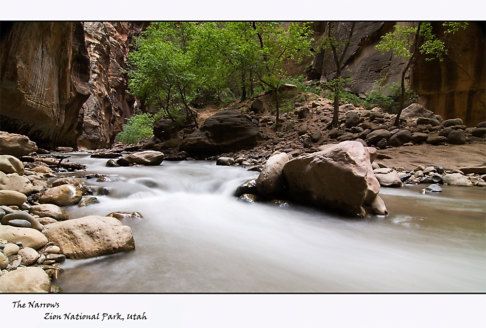 In the Narrows