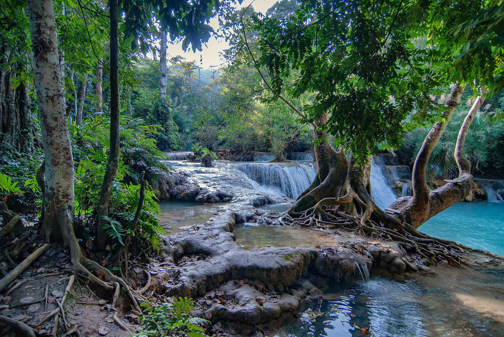 In the park of Kuang Xi