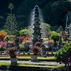 In the park of Tirta Gangga