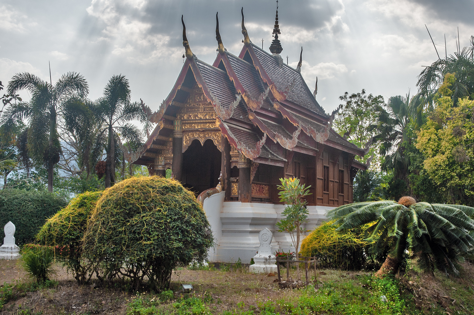 In the park of Wat Pa Daet