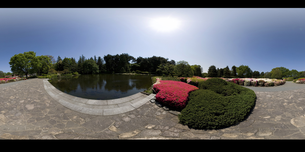 In The Park _PANORAMA