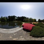 In The Park _PANORAMA