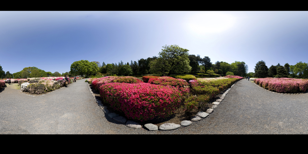 In The Park [Panorama finish]