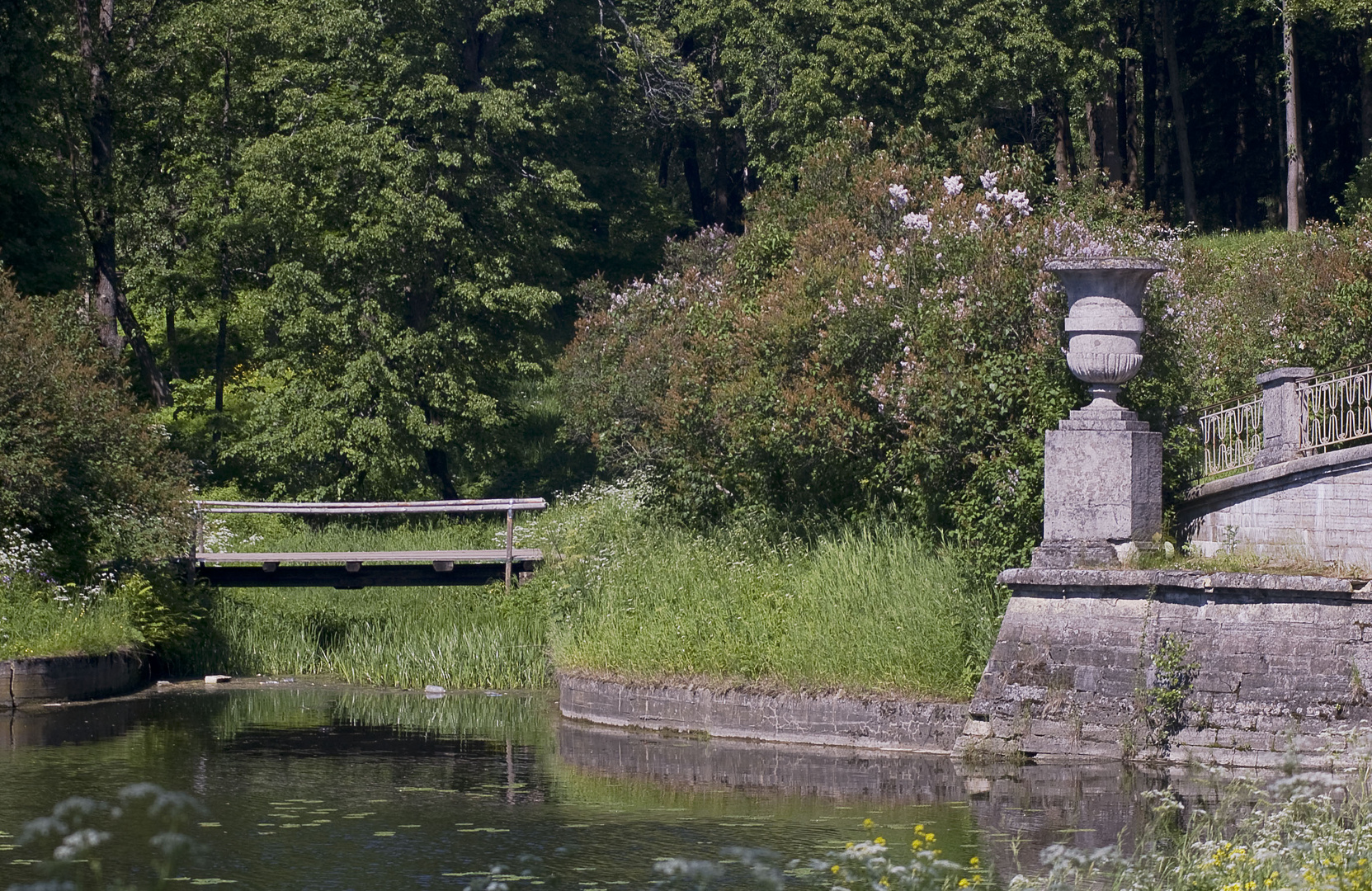 In the Pavlovsk Park.