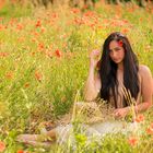 In the poppy field