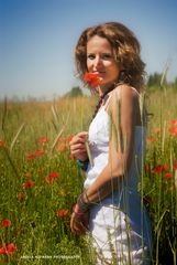 in the poppy field