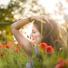 In the poppy fields