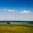 In the Qinghai lake