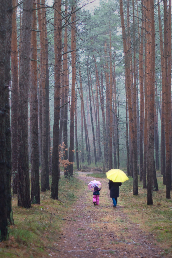 In the Rain