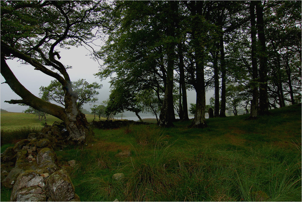 In the Scottish Highlands, II