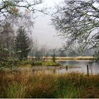 In the Scottish Mists of Argyll and Bute