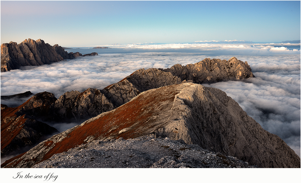 In the sea of fog