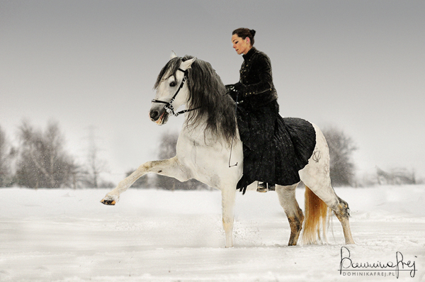 In the snow