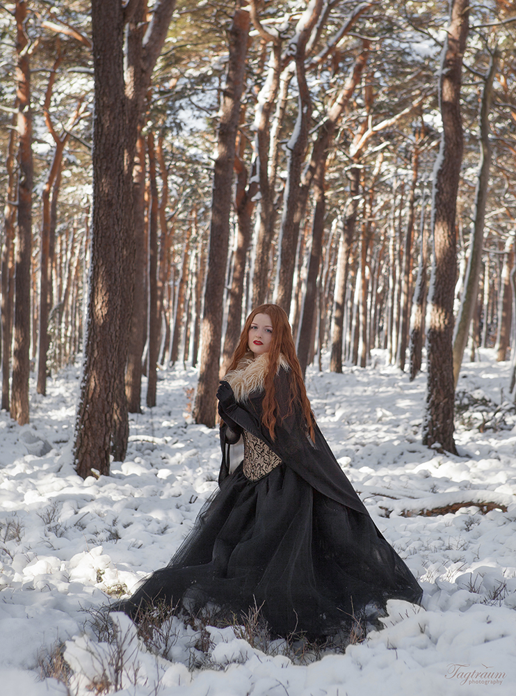 In the Snowy Forest