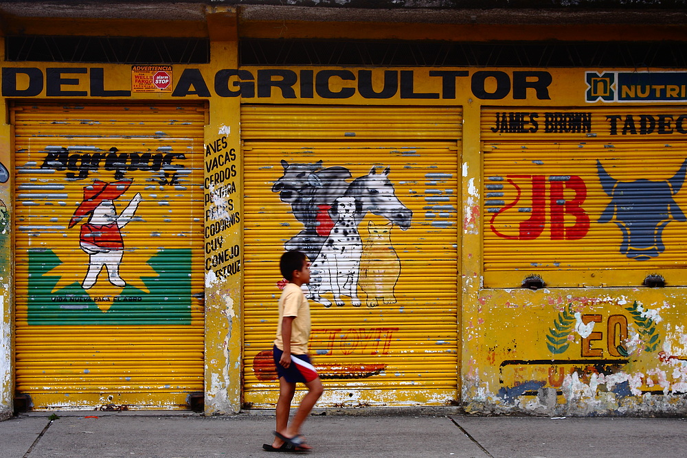 In the Streets of Ecuador