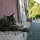 in the streets of Hainichen