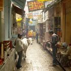 In the streets of Varanasi