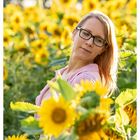 in the sunflower field