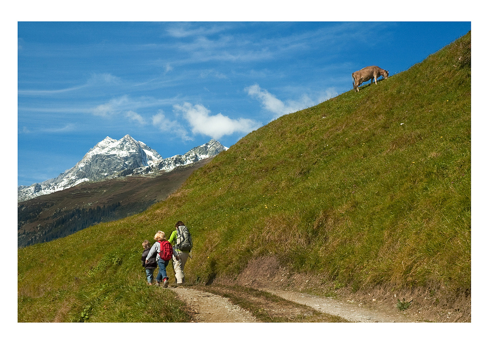 in the swiss mountains