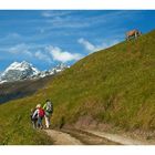 in the swiss mountains