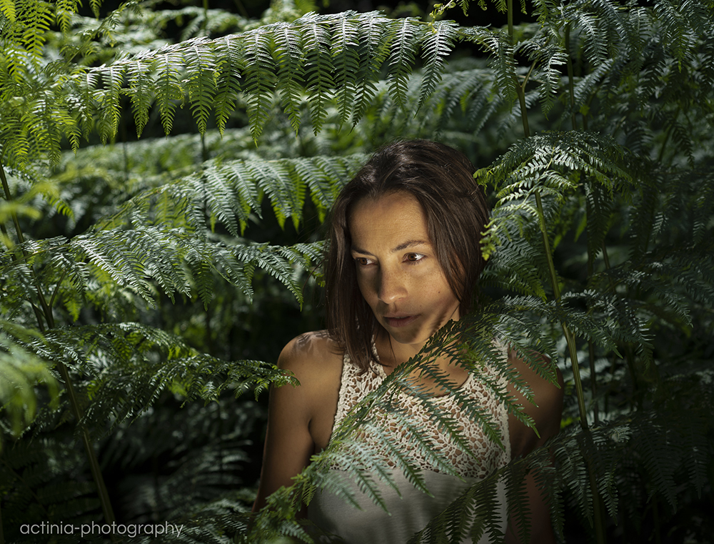  in the thicket of fern...