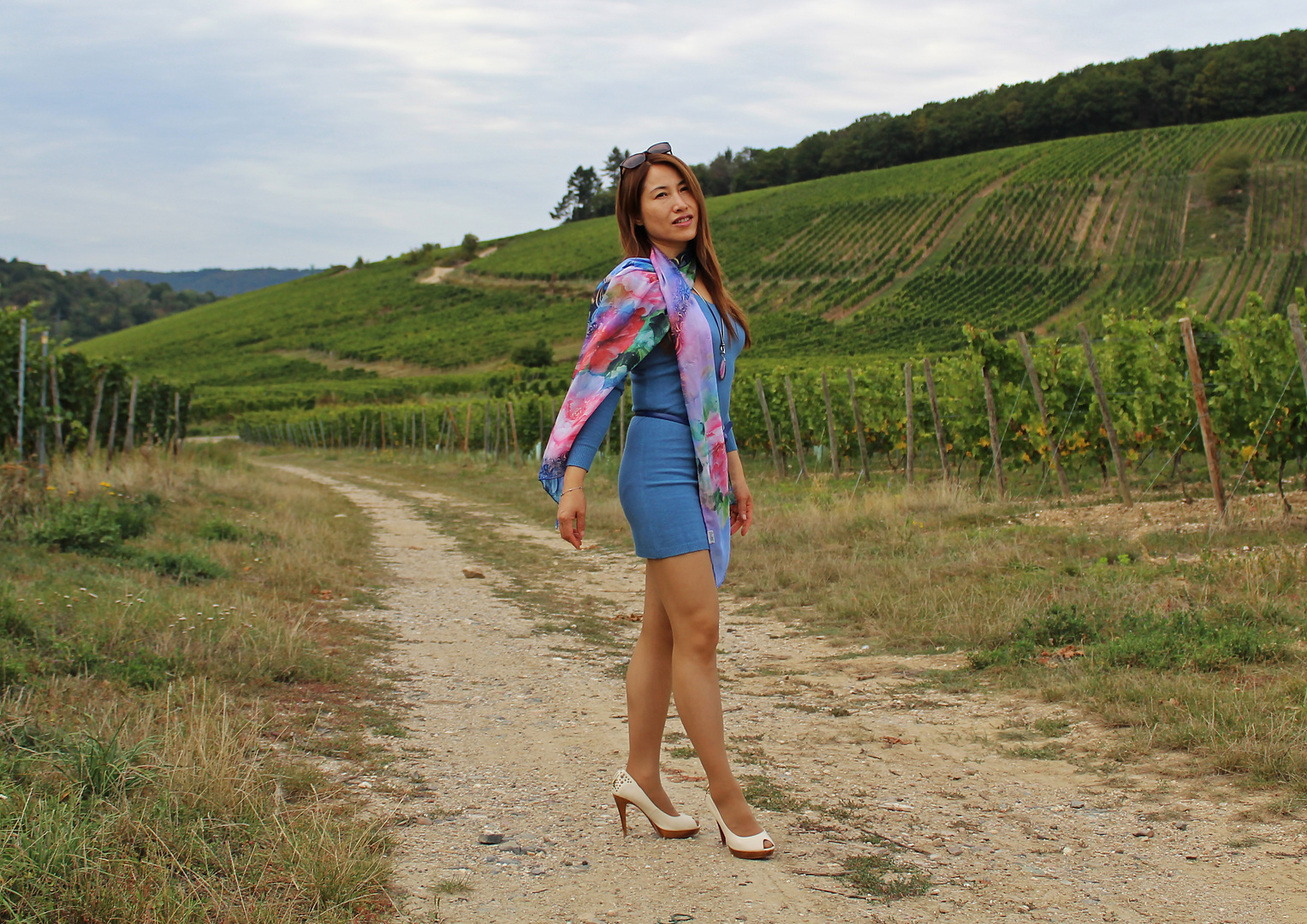 In the Vineyard