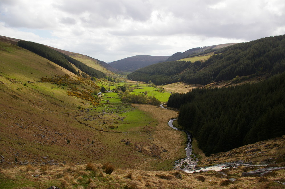 In the Wicklow Mountains