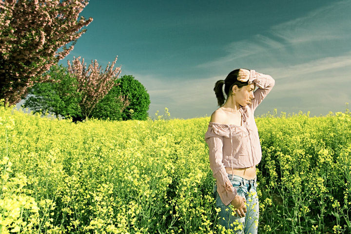 In the yellow field ...1