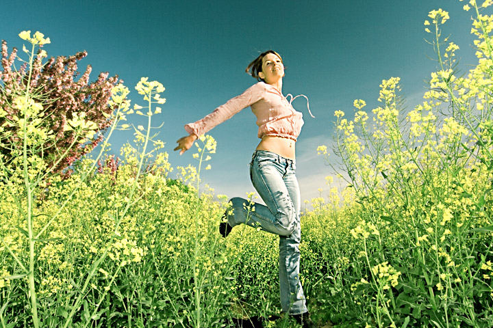 In the yellow field ...2