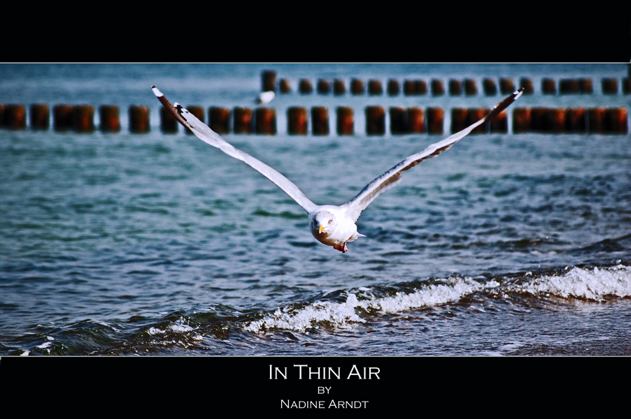 In thin Air