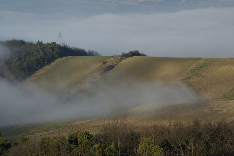 . . . in tiefen Lagen "Bodennebel", . .