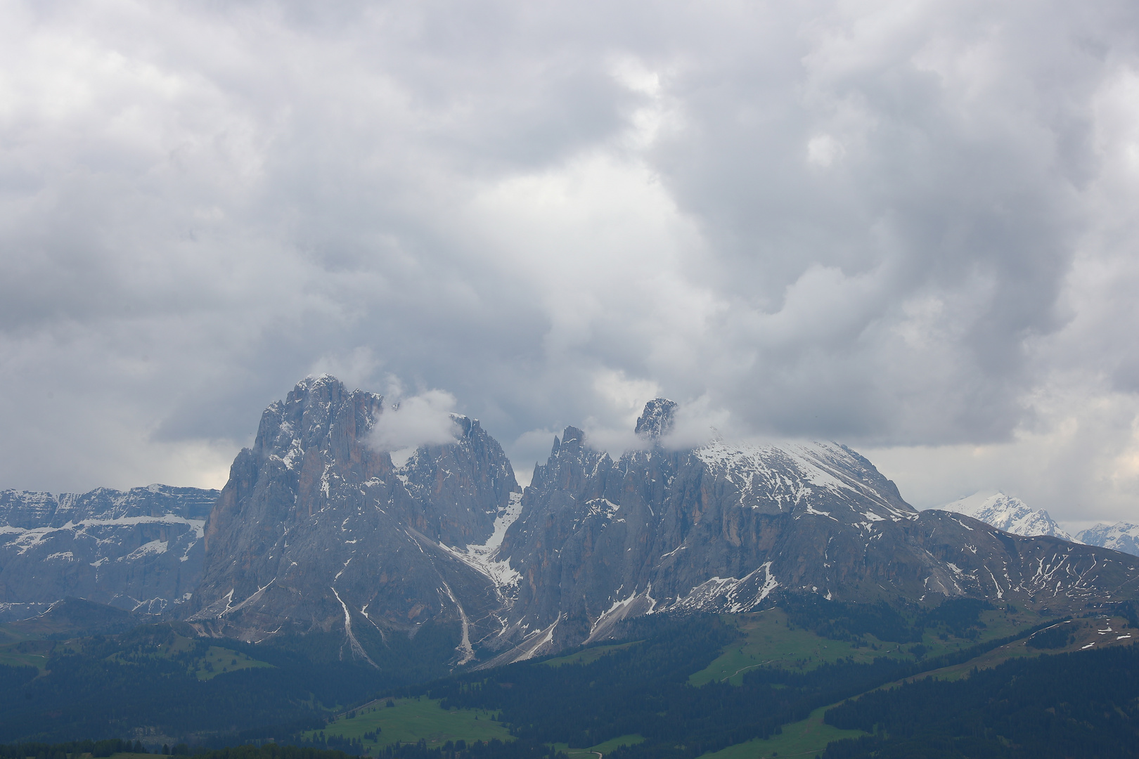 In Tiers  Dolomiten Südtirol Seiser Alm