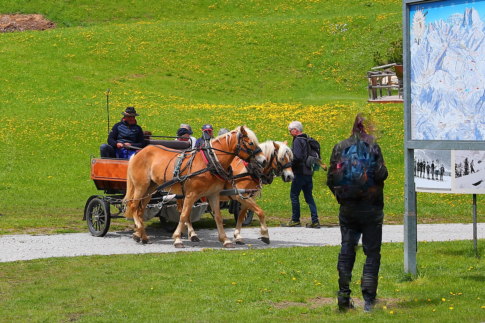 In Tiers  Dolomiten Südtirol Seiser Alm