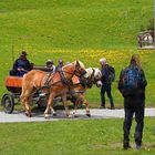 In Tiers  Dolomiten Südtirol Seiser Alm