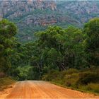 * in to the golton-gorge-at-roses-gap *