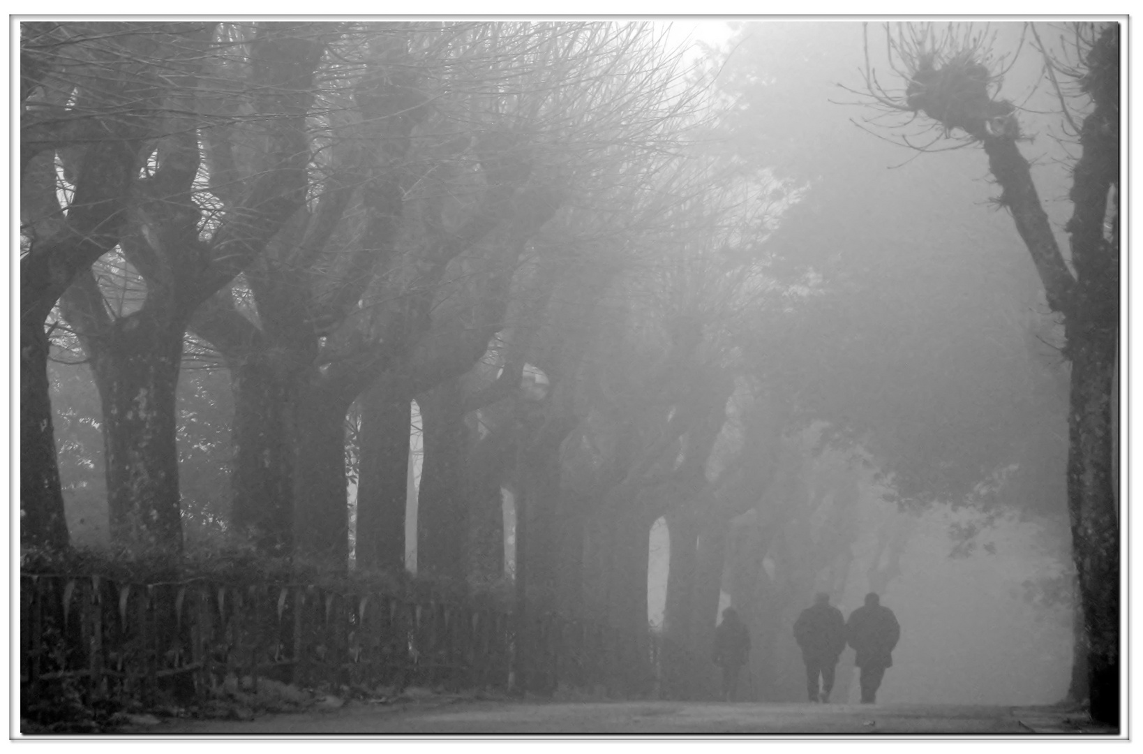 in toscana , questi giorni....