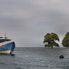 In Trima bay to Menjangan island