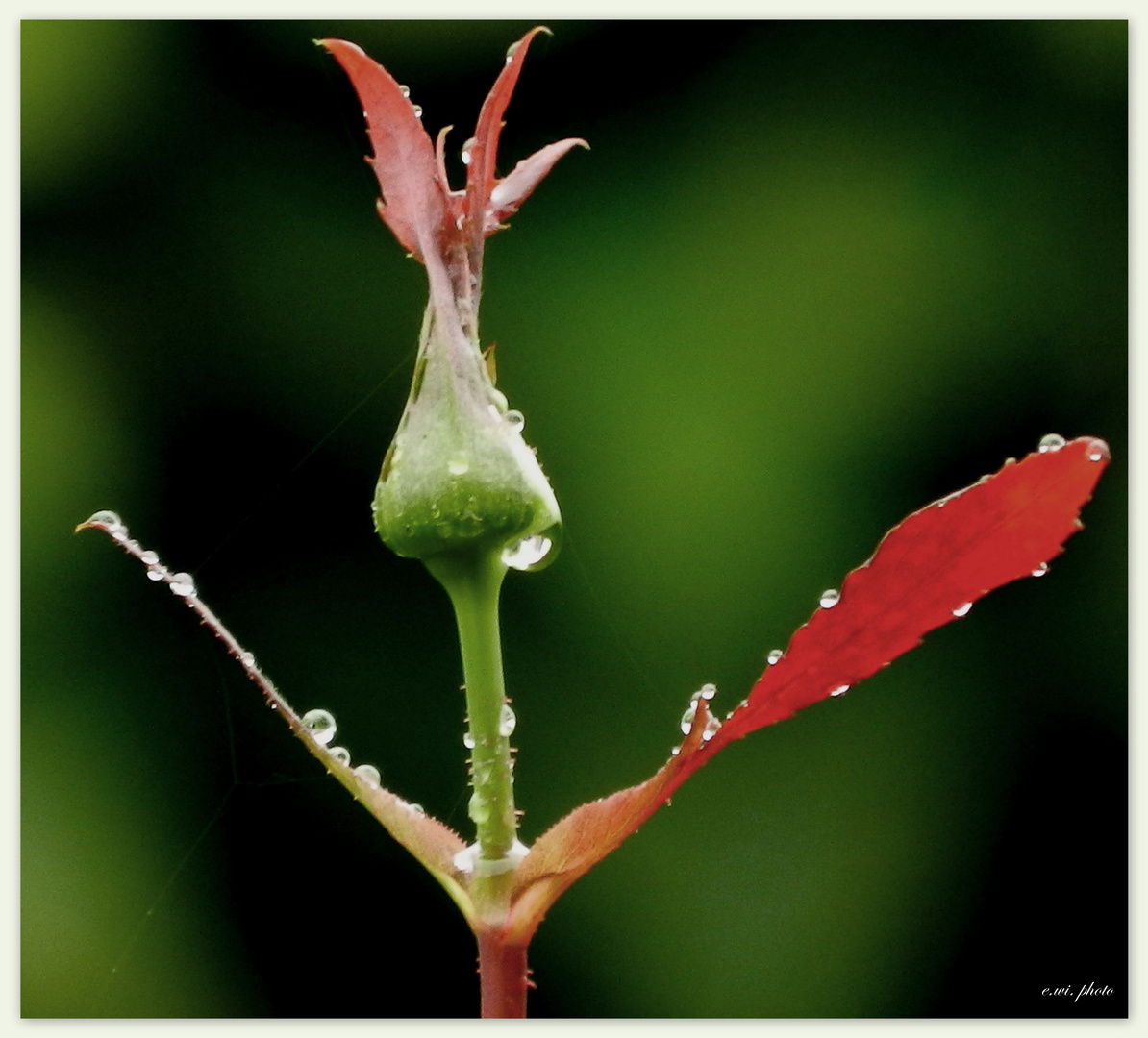 in "Tropfen-Form"