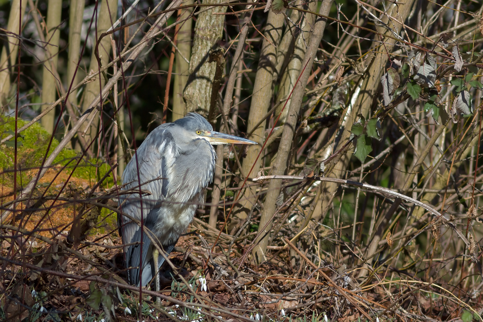 In Ufernähe