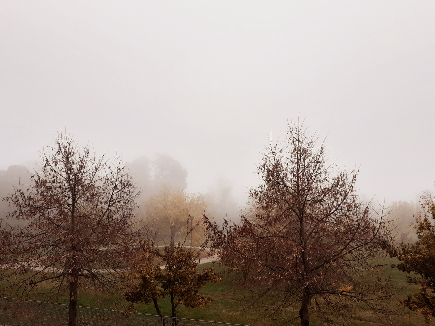 In ufficio, assediato dalla nebbia...